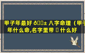 甲子年最好 🐱 八字命理（甲子年什么命,名字里带 ☘ 什么好）